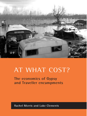cover image of At what cost?